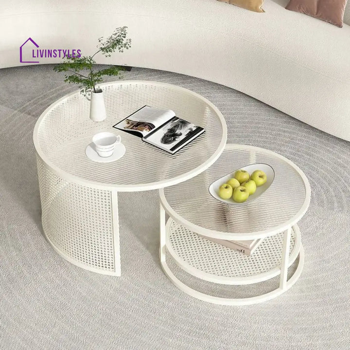 Zarnika Stainless Steel Frame Coffee Table for Living Room