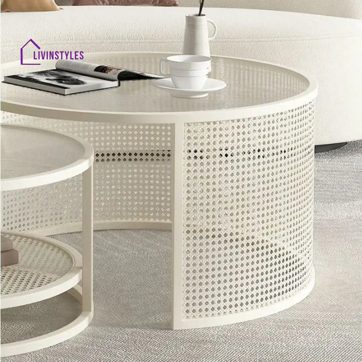 Zarnika Stainless Steel Frame Coffee Table for Living Room