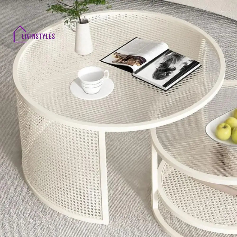 Zarnika Stainless Steel Frame Coffee Table for Living Room