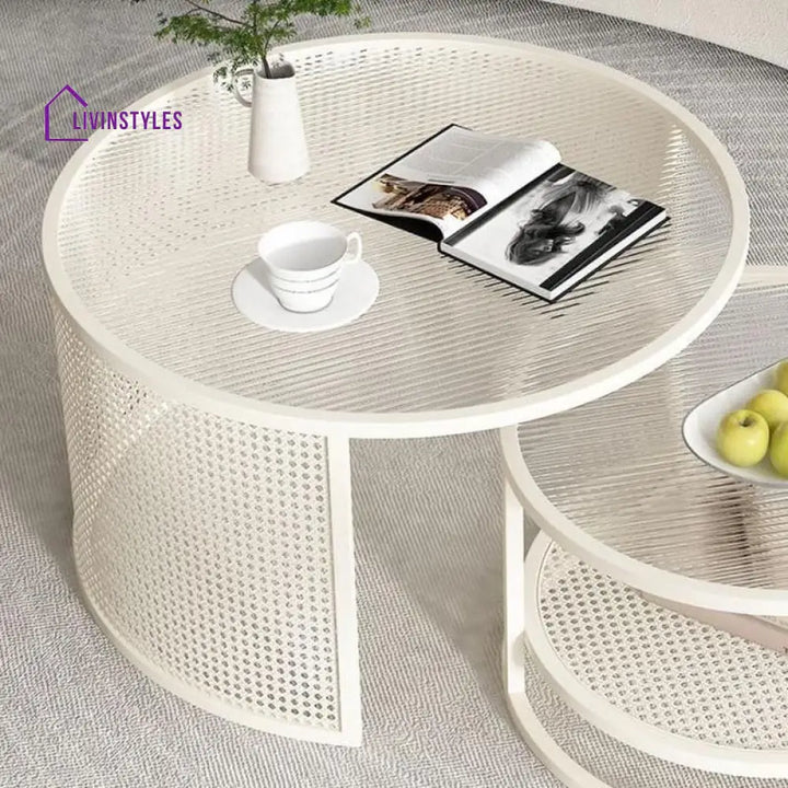 Zarnika Stainless Steel Frame Coffee Table for Living Room