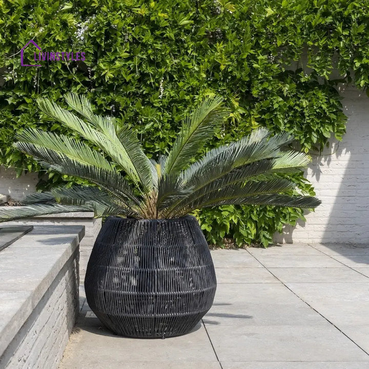 Zende Outdoor Planters For Garden Balcony (Black) Braided & Rope - Planter