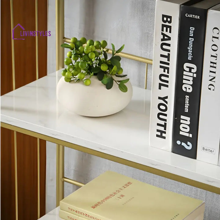 Zlata Stainless Steel Frame Bookshelves | Storage Shelves
