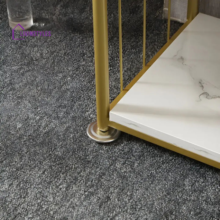 Zlata Stainless Steel Frame Bookshelves | Storage Shelves